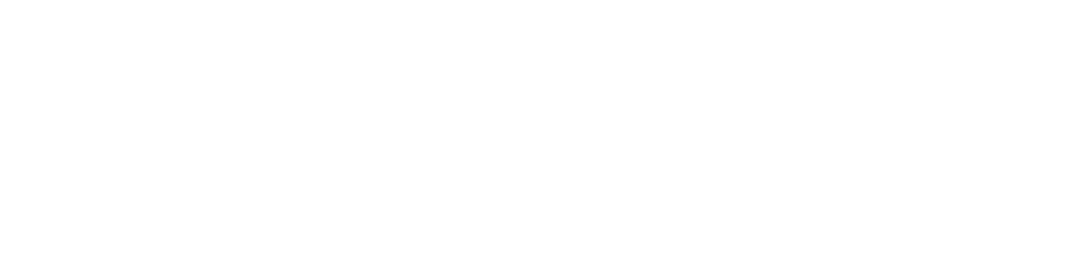 Sts Group – EN